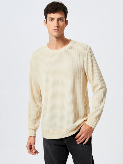 Men Crew Neck Plain Knitted Long Sleeve T-Shirt